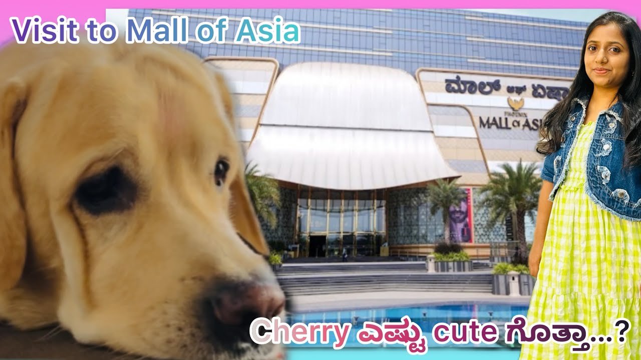 Introducing my family and Cherry Pari 🩷❤️🥳| Visit mall of Asia | Explore Kunafa nights 