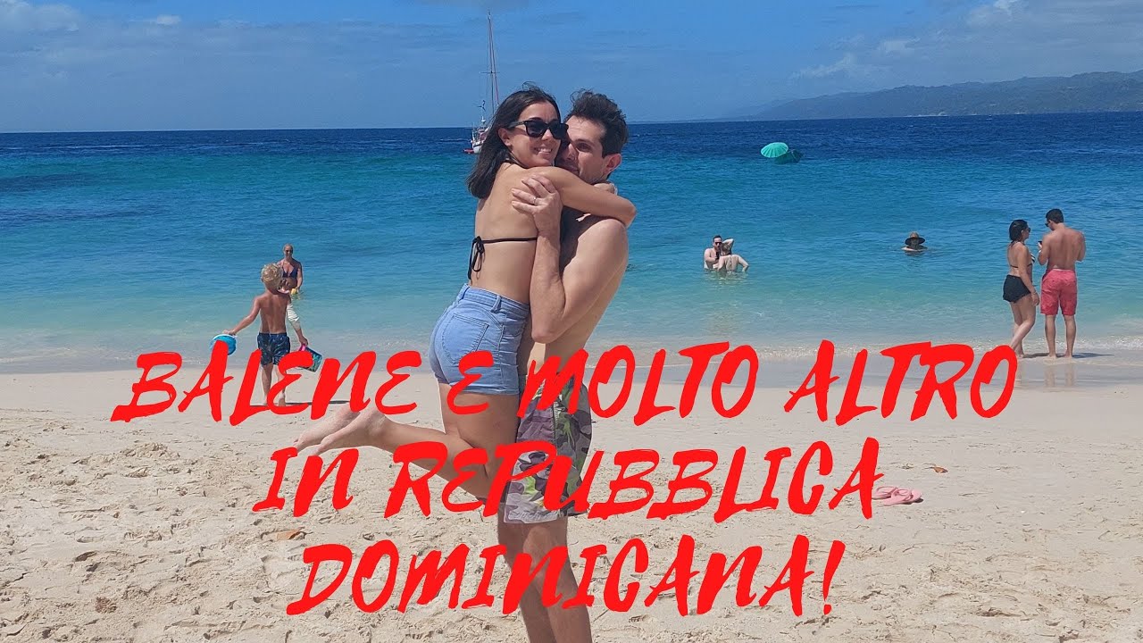 VEDIAMO LE BALENE IN REPUBBLICA DOMINICANA, NELLA PENISOLA DI SAMANA'! 🌎Vlog Repubblica Dominicana