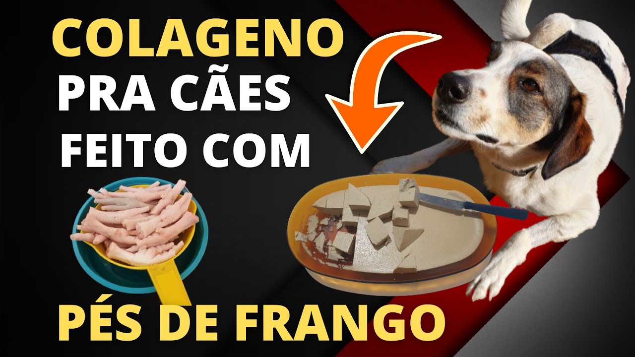 Como  FAZER COLAGENO para CACHORROS 100% Natural FEITO com PÉS de FRANGO