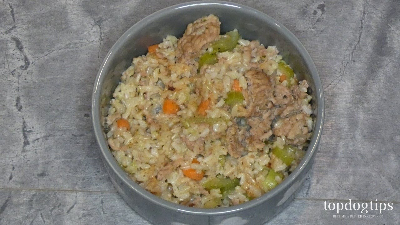 Recipe: Pressure Cooker Homemade Dog Food