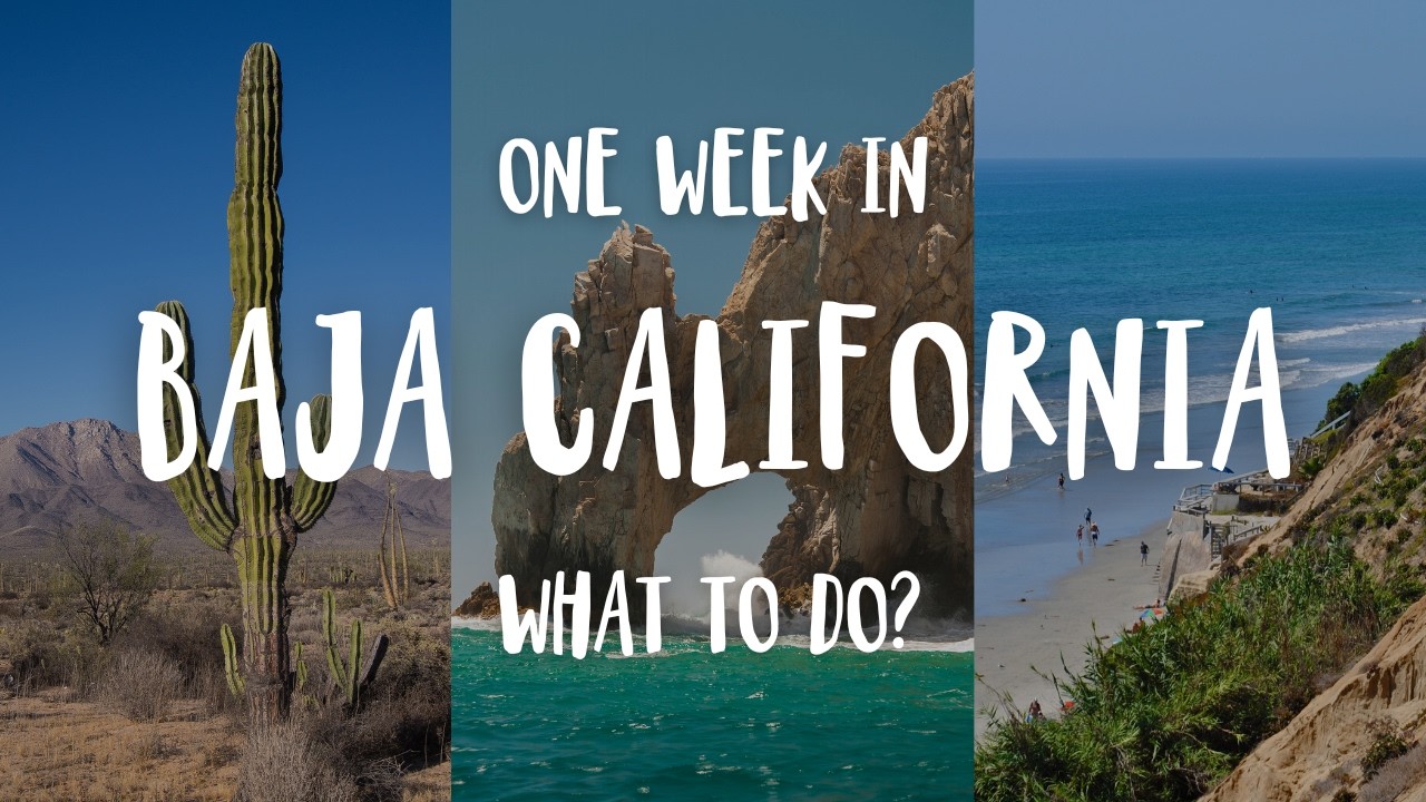 Baja California Travel Guide: Everything You Need to Know