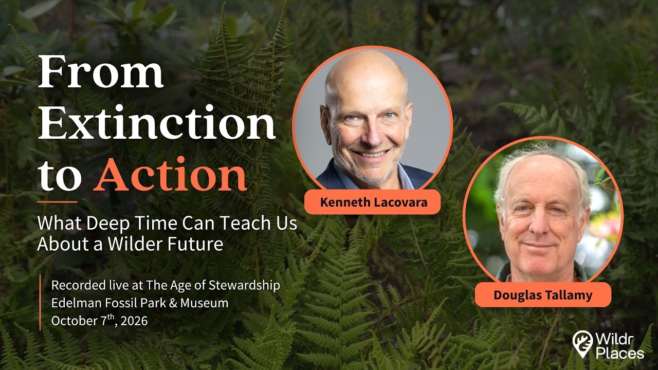 From Extinction to Action: What Deep Time Can Teach Us About a Wilder Future