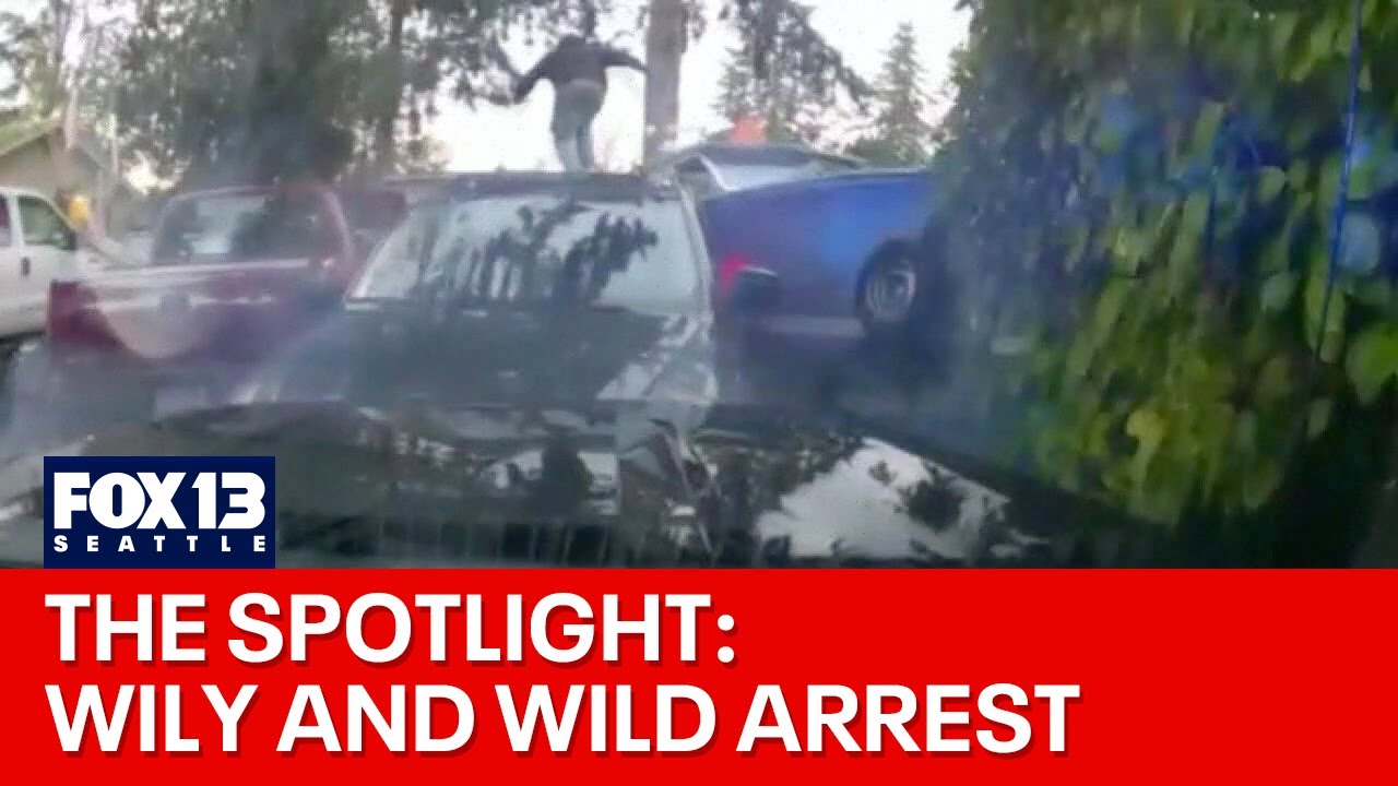 The Spotlight: Wily and wild arrest
