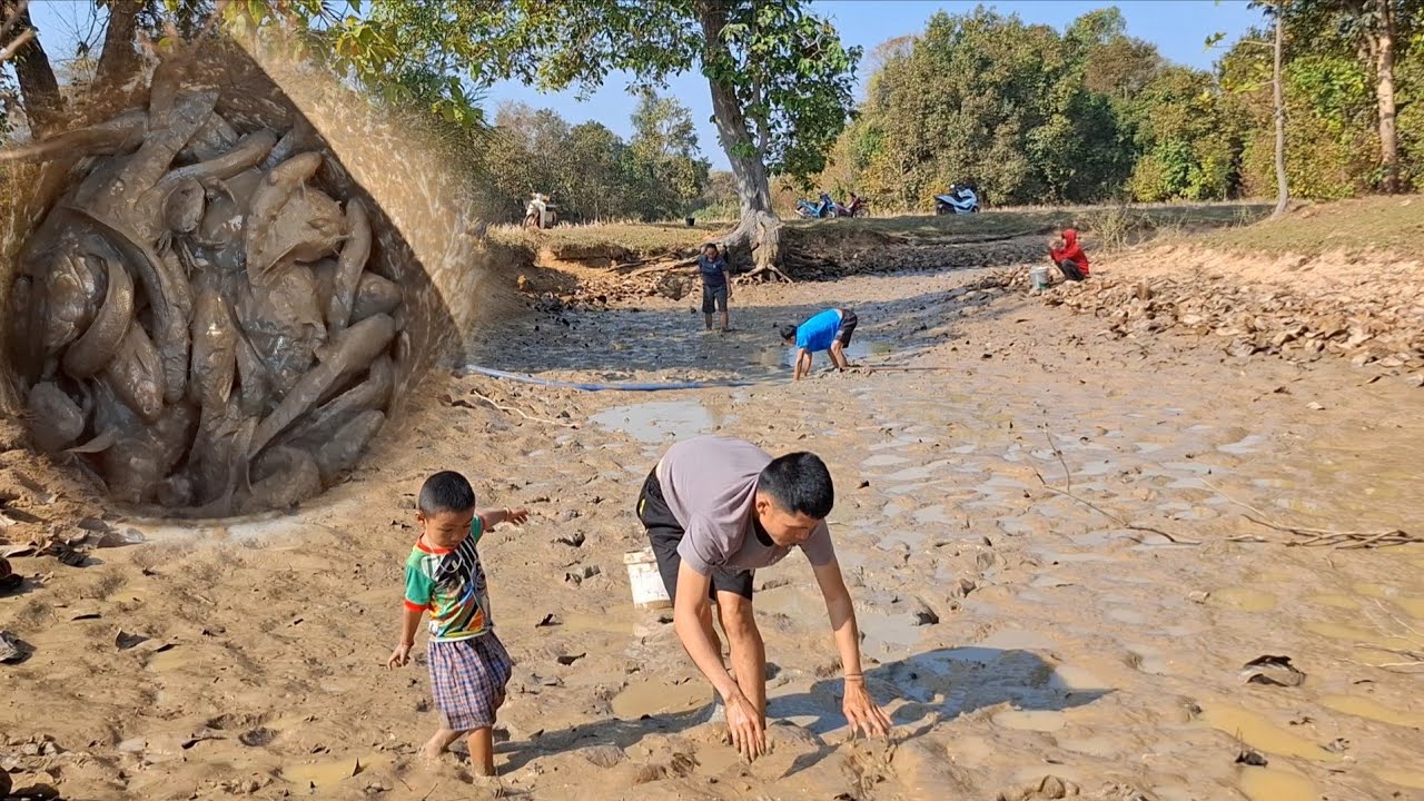 เจ้ดำสั่งสูบน้ำหนองน้องไก่ลุยจับปลา 19 มกราคม ค.ศ. 2026