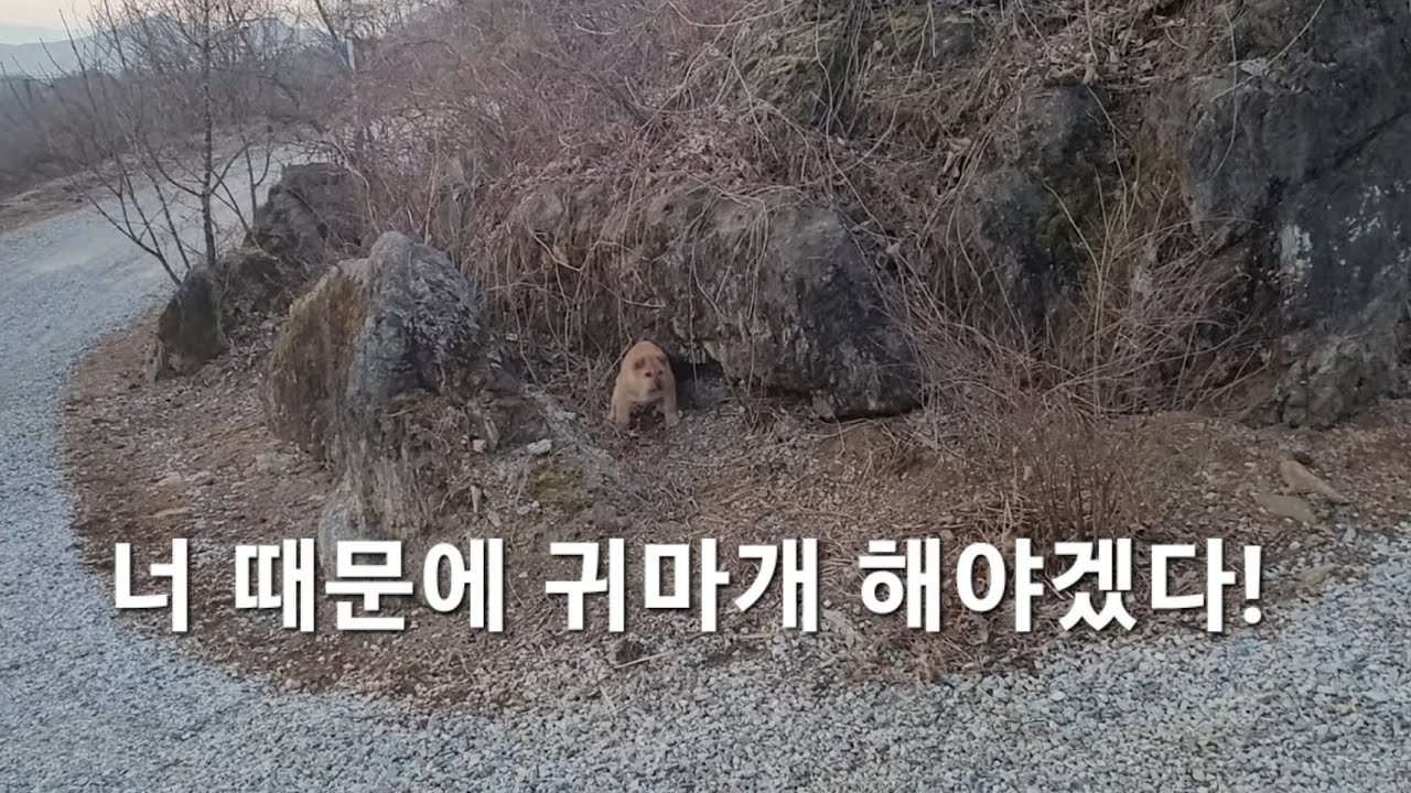 그래 알았다 미미야 나간다 나간다고~~!