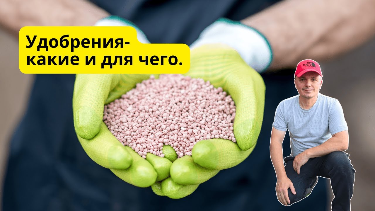 Основные удобрения для растений на огороде- понятный разбор.