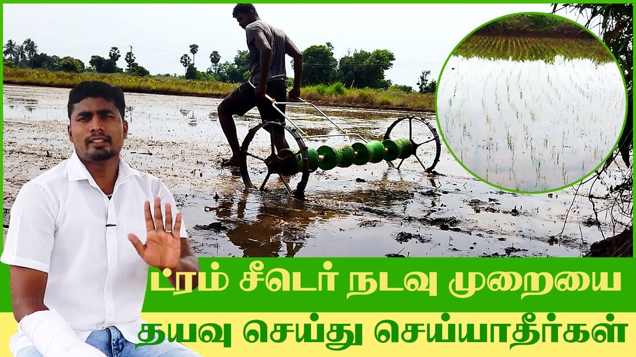 Drum Seeder |ட்ரம் சீடர் | நெல் சாகுபடி முறை | Drum Seeder Method | #vivasayamvithaippom