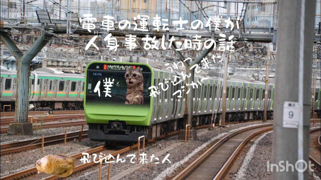 電車の運転士の僕が人身事故した時の話。【猫ミーム】#猫ミーム#運転士#人身事故#電車#鉄道