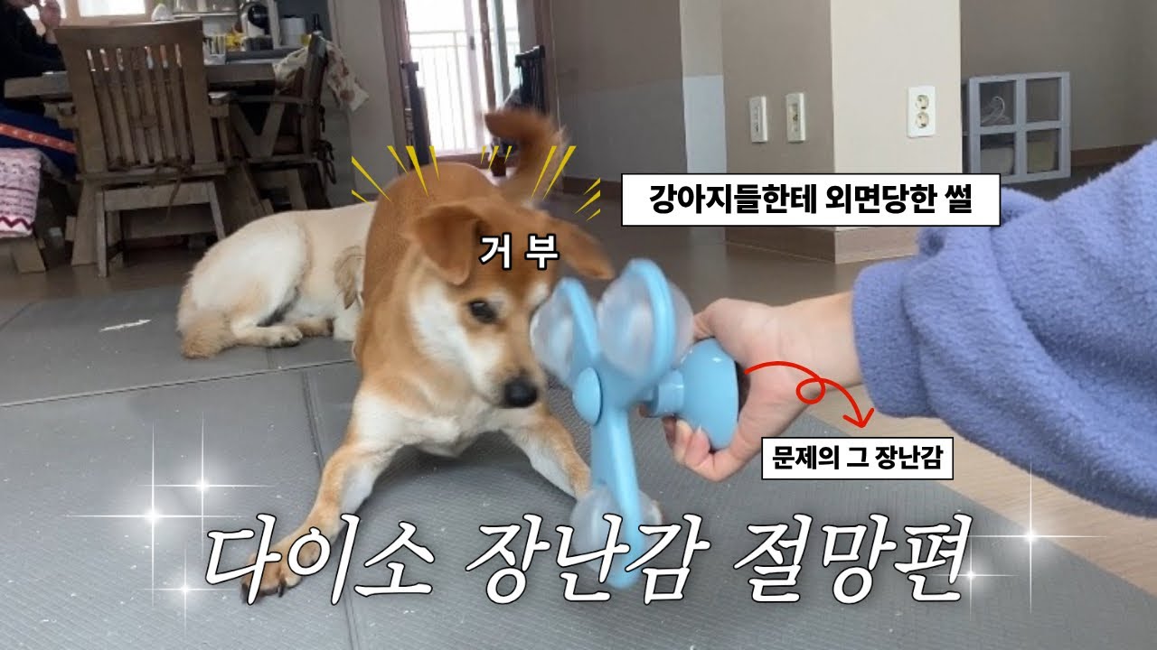 다이소에서 이 장난감은 사지 마세요,,🚫