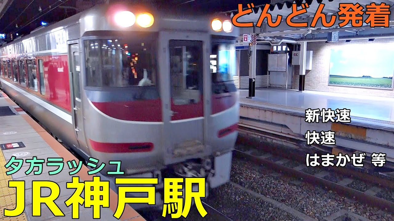 JR神戸駅🚃どんどん電車が発着！●夕方ラッシュ 神戸線／新快速、快速、はまかぜ 等【JR西日本】