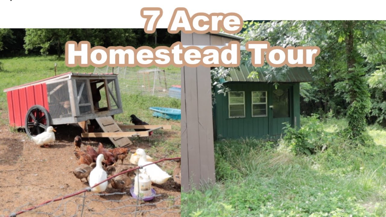7 Acre Homestead Tour 2021 - The Beginning of our Homestead Journey