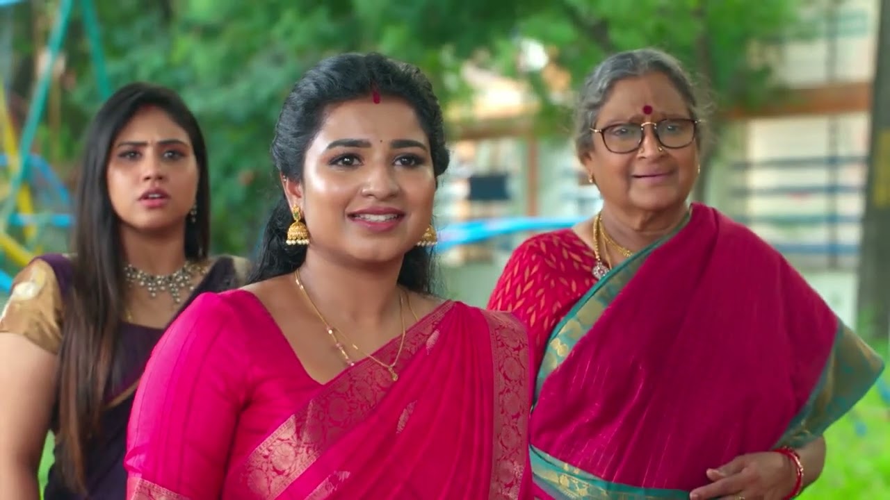 Karthigai Deepam | Ep - 1028 | Webisode | Nov 10 2025 | Zee Tamil