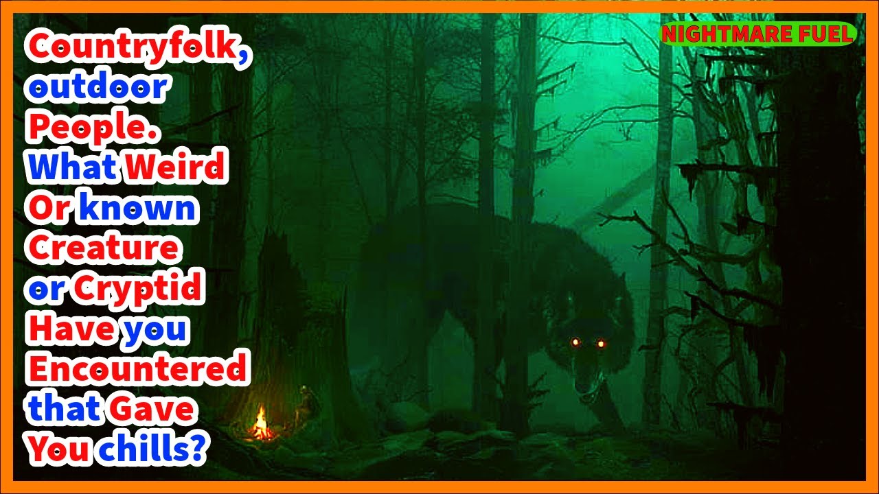 Countryfolk, outdoor people. What weird creature/cryptid have you encountered that gave you chills?