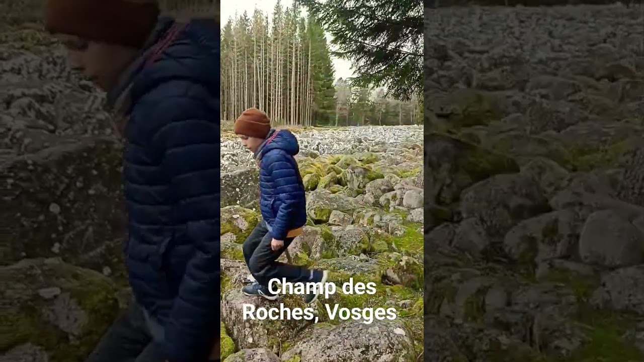 Champ des Roshes, Vosges     Долина камней, удивительный хаос после прохождения ледника