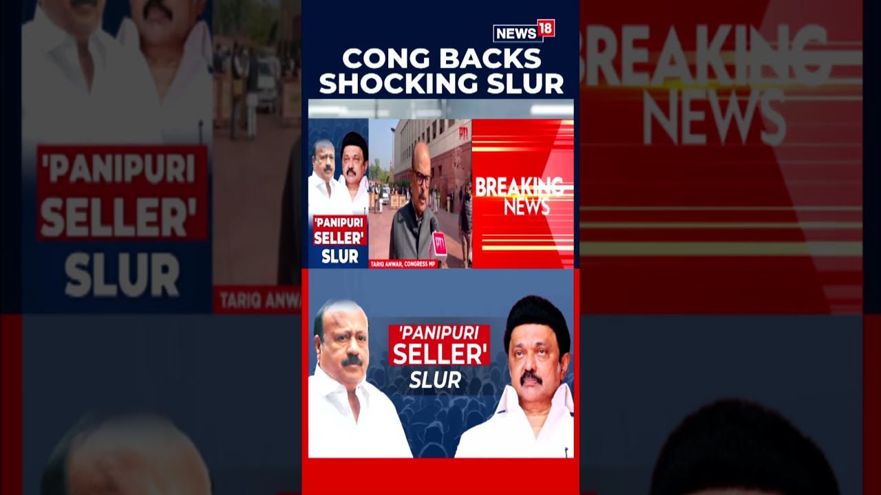 Congress MP Tariq Backs DMK Minister's 'Pani Puri' Remark | Parliament Showdown | N18S