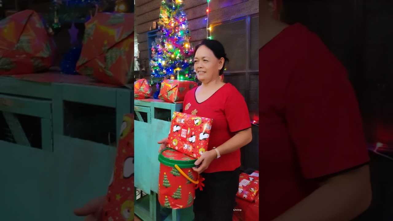 CHRISTMAS PARTY AT CATS88 SANCTUARY. Pets are already sleeping. 