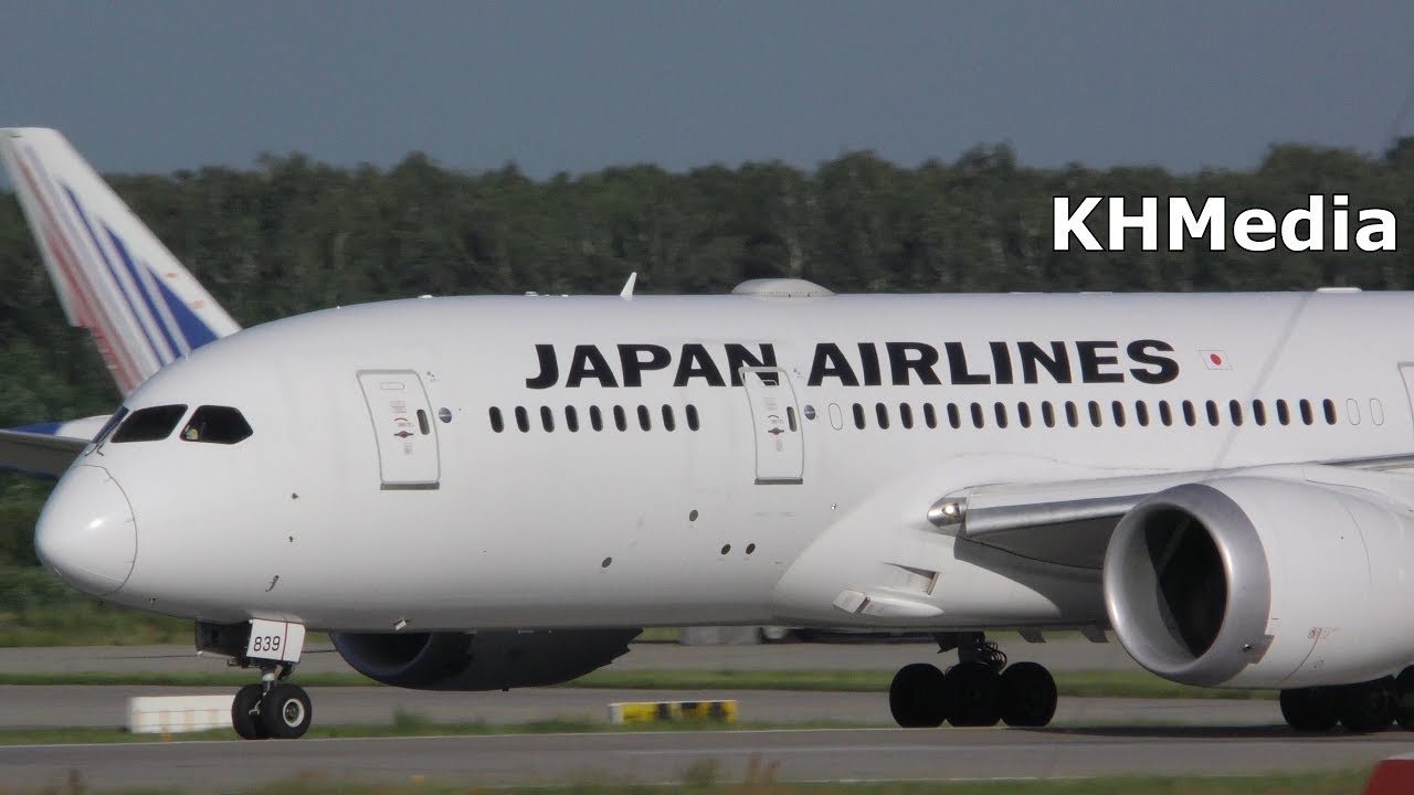 Boeing 787-8 Japan Airlines Домодедово 2017 B787-8 B788 JAL DME Domodedovo Dreamliner