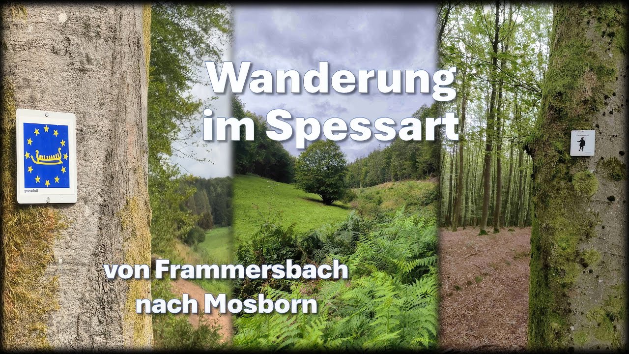 Wanderung im Spessart: von Frammersbach nach Mosborn