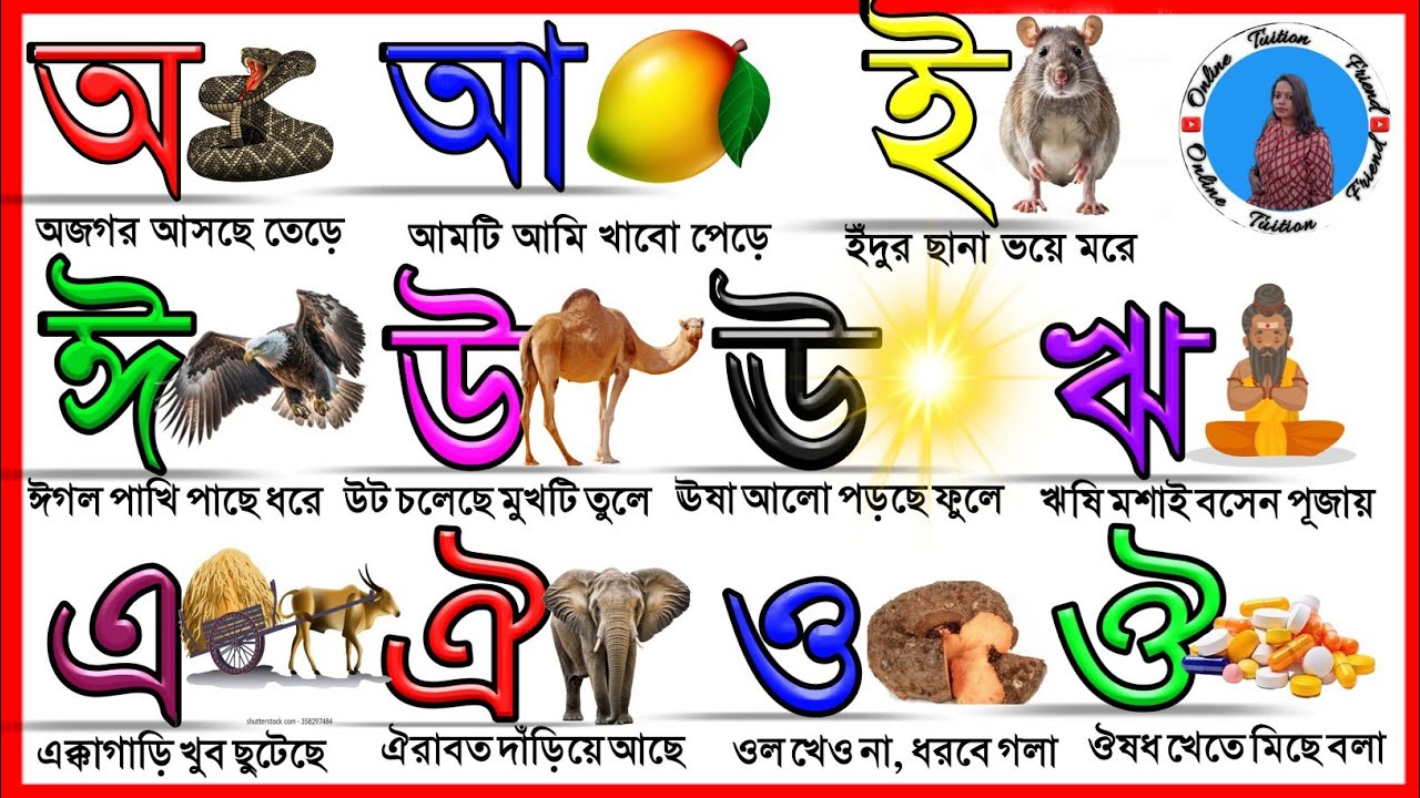 Sorborno pora | স্বরবর্ণ পড়া | A aa e ee | bengali alphabets | ka kha ga gha | abcd 