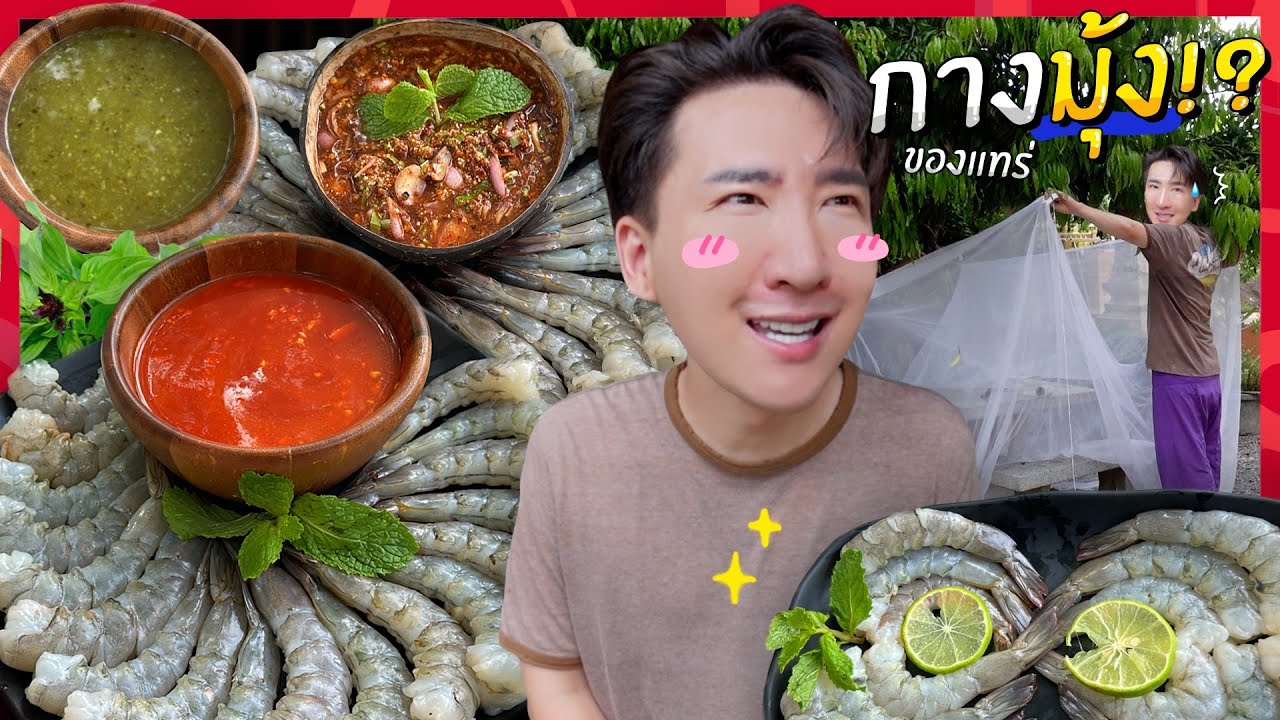 CC [675] โอปป้าผู้อัจฉริยะทางการกิน กับเมนูกุ้งสด น้ำจิ้ม 3 สี รสแซ่บ !! : โอปป้า อยู่ที่บ้านนอก