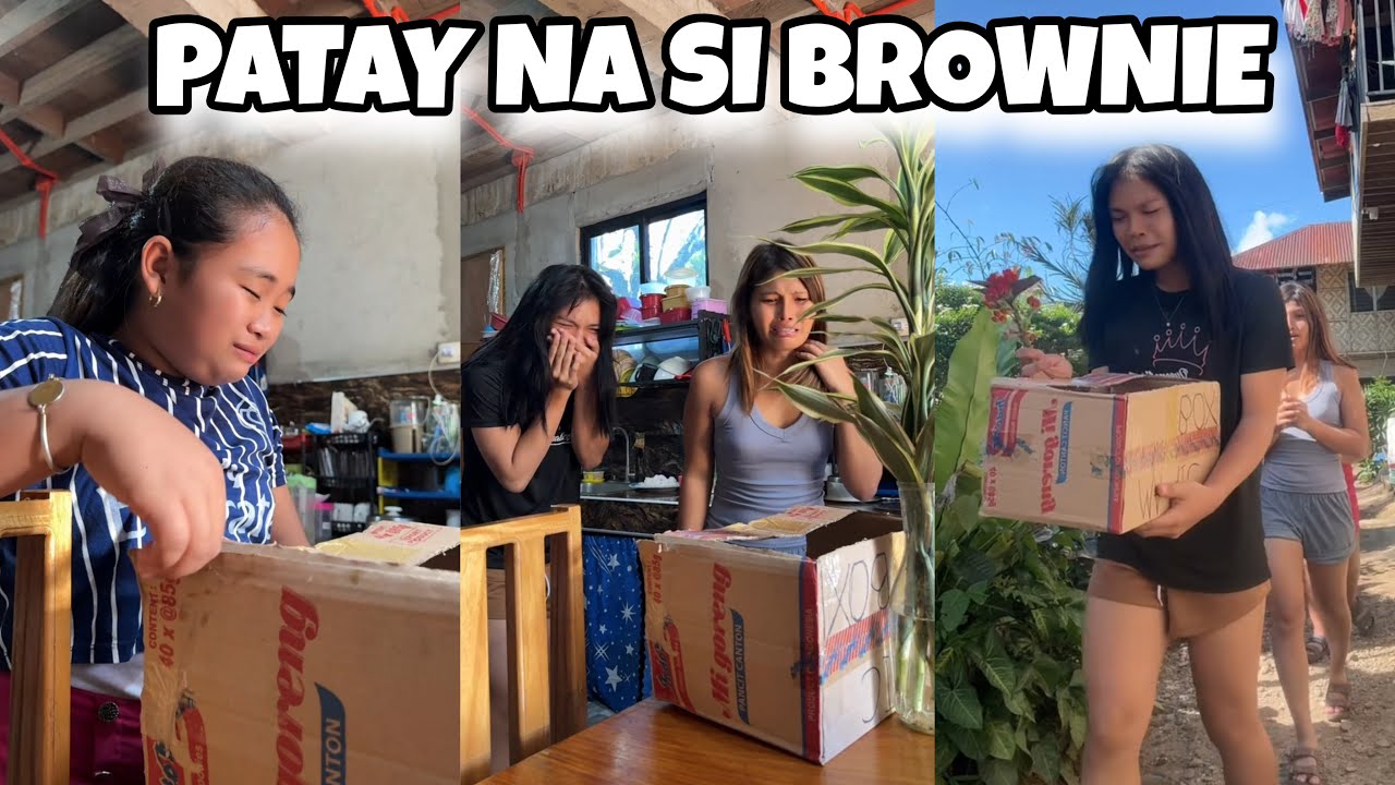 PAALAM BROWNIE | FUNNY TIKTOK COMPILATION GOODVIBES | Queenie Dawson 