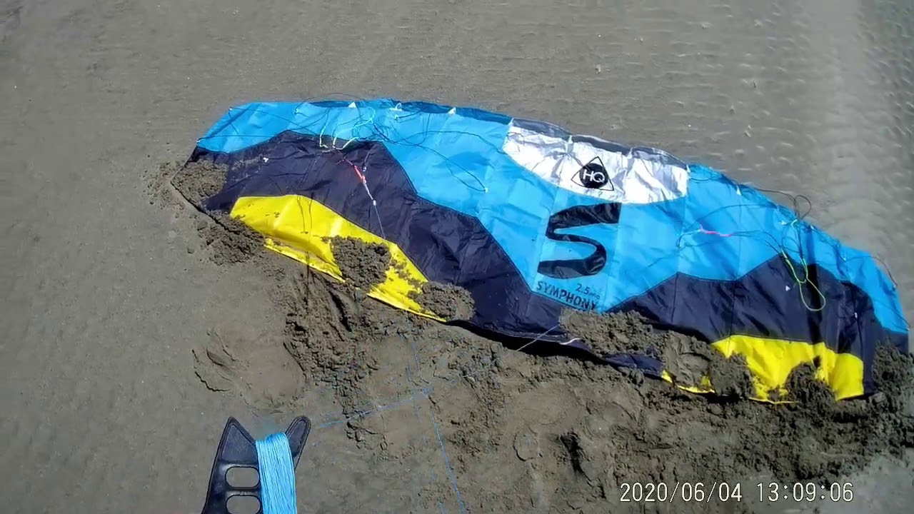 Symphony Pro Edge 2.5 'Hypno-Toad'