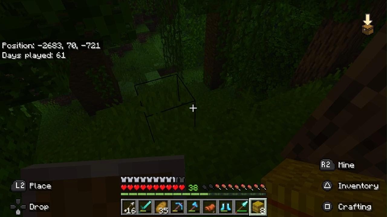 Minecraft Finally home.