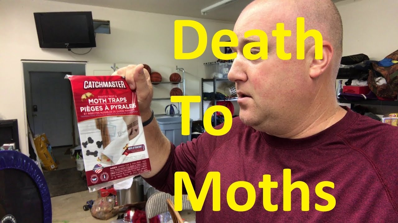 Amazing Catchmaster Moth Traps