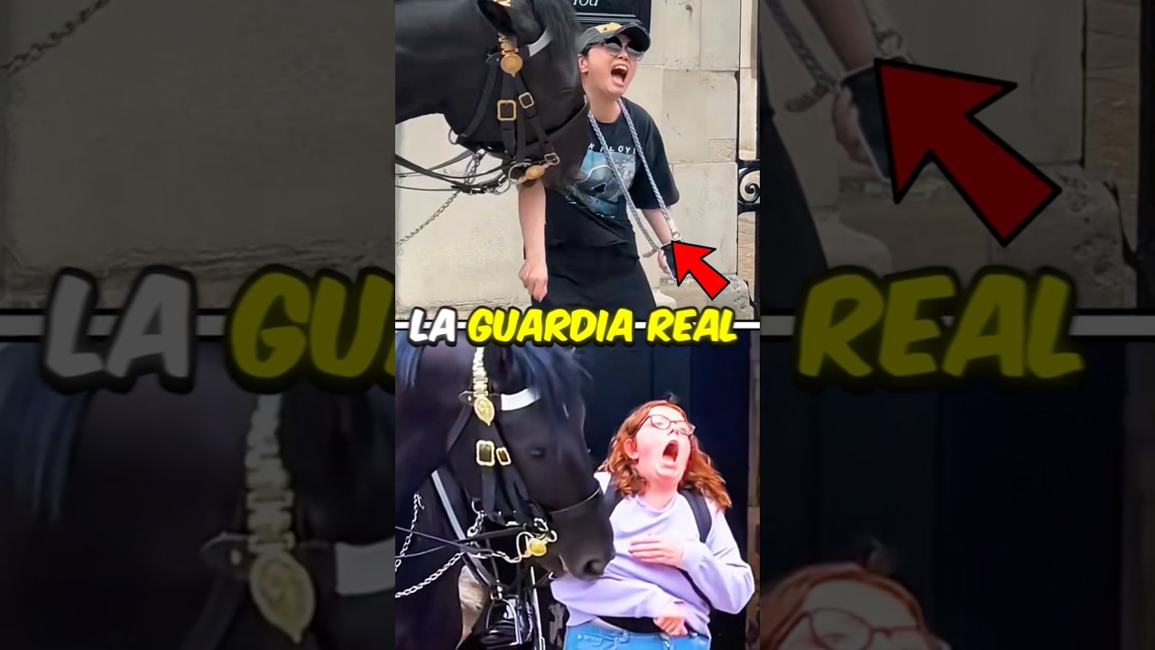 Por que los caballos de la guardia real muerden a todos excepto a esta chica? #shorts #opentracks