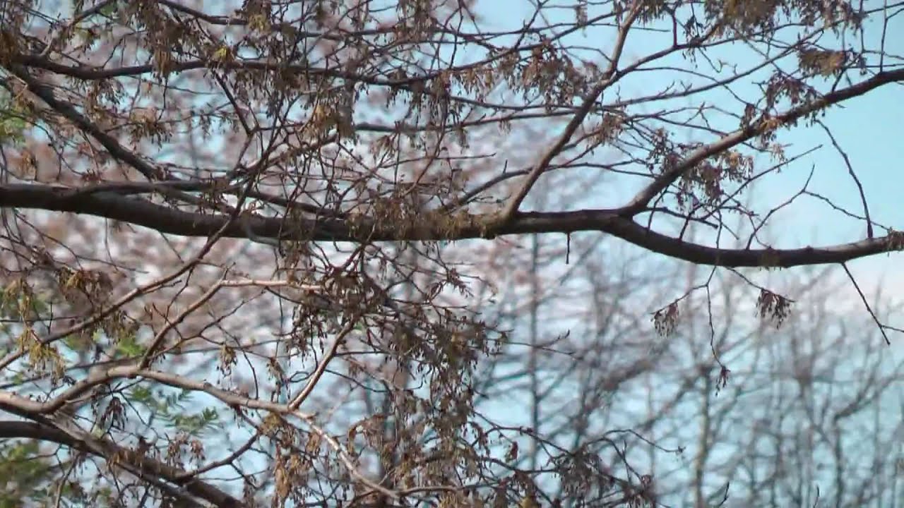 Panasonic HDC-TM700 stabilization video sample 2