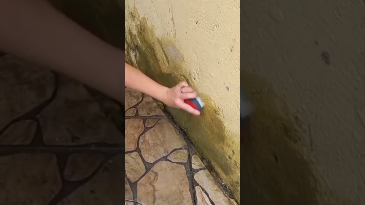 aproveitei a &aacute;gua da chuva para lavar meu quintal #asmrcleaning #lavando #satisfying #limpeza