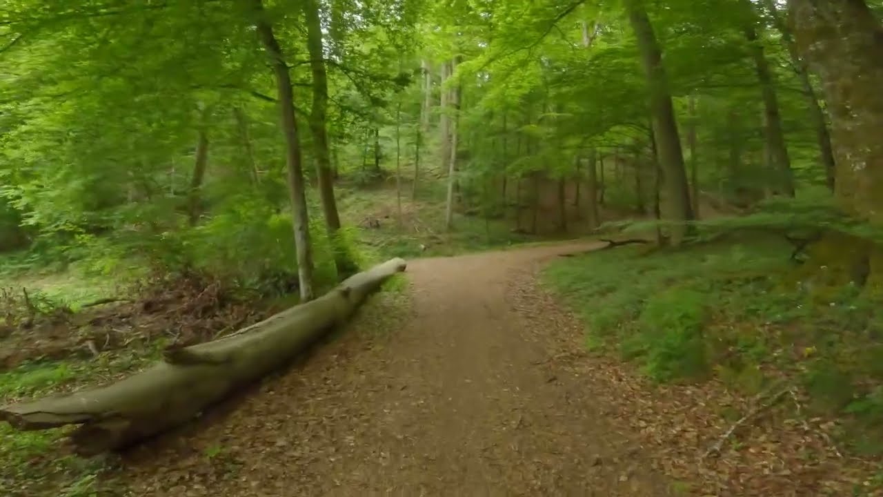 Pt1: 4K Hiking Germany | Kürrenberg Eifel Traumpfad Trail | Scenic Landscape Walk & Nature Adventure