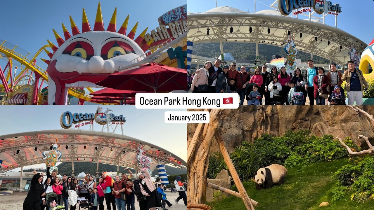 Ocean Park Hong Kong January 2025 | rollercoasters, wildlife exhibits, etc