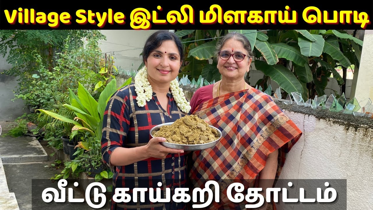 Special Village இட்லி மிளகாய் பொடி / எங்கள் வீட்டு காய்கறி தோட்டம் / Idli Podi / #IdliPodi #garden