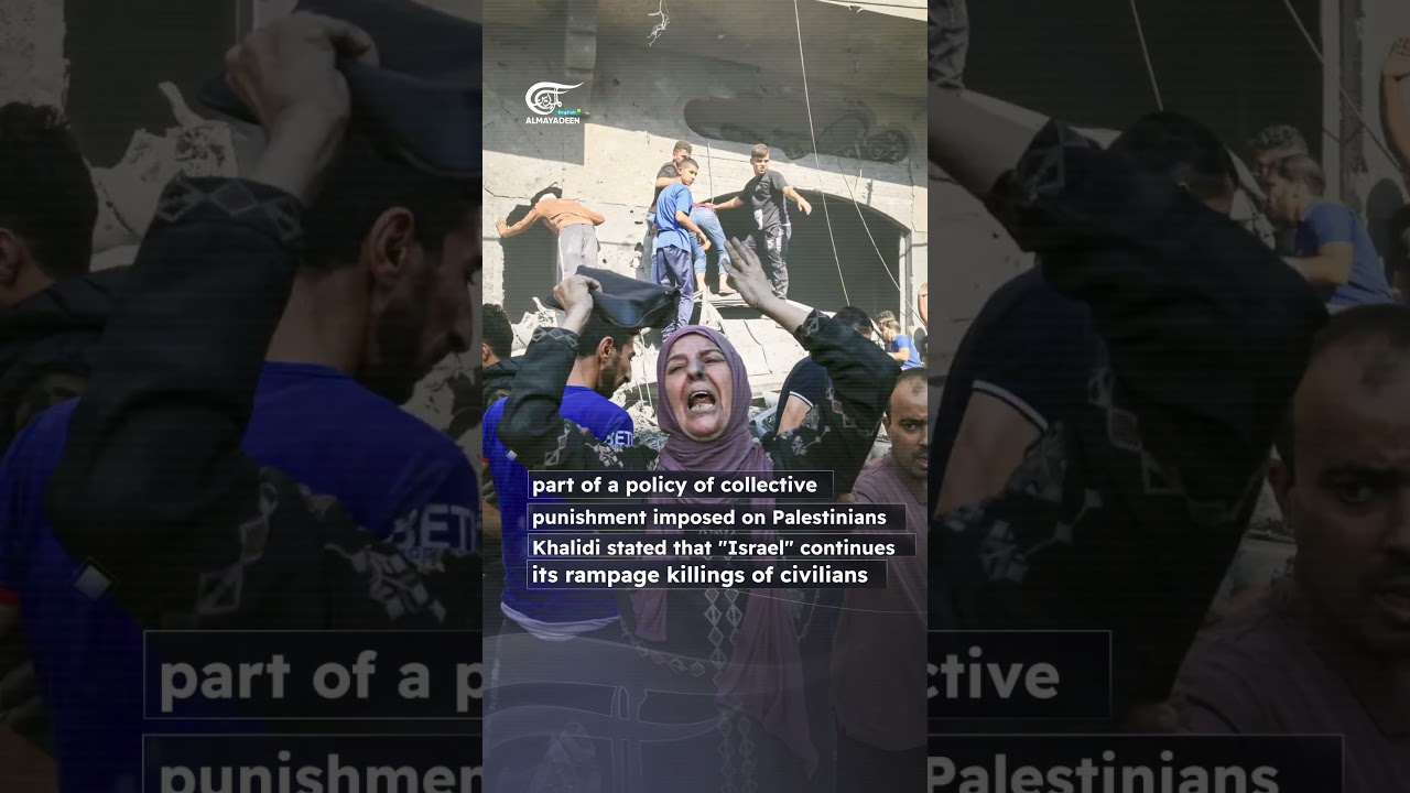 Oxam's Khalidi to UNSC on Gaza's humanitarian crisis: 'History won't remember reports or meetings'