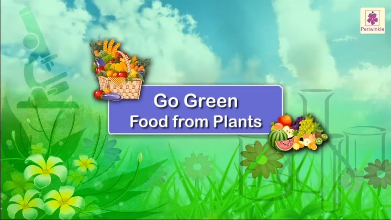 Food From Plants | Science For Kids | Periwinkle