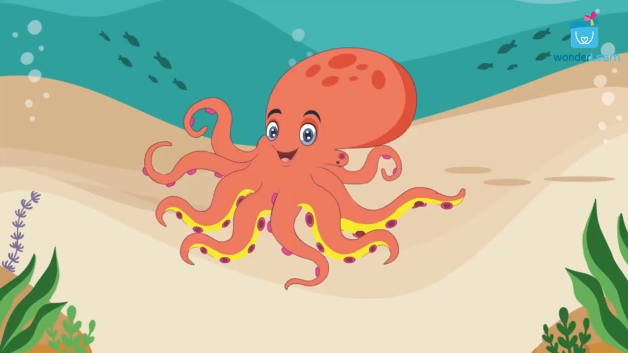 Octopus Facts For Kids | Underwater Animal | Sea Creature | Water Animals Video | Ocean Animals