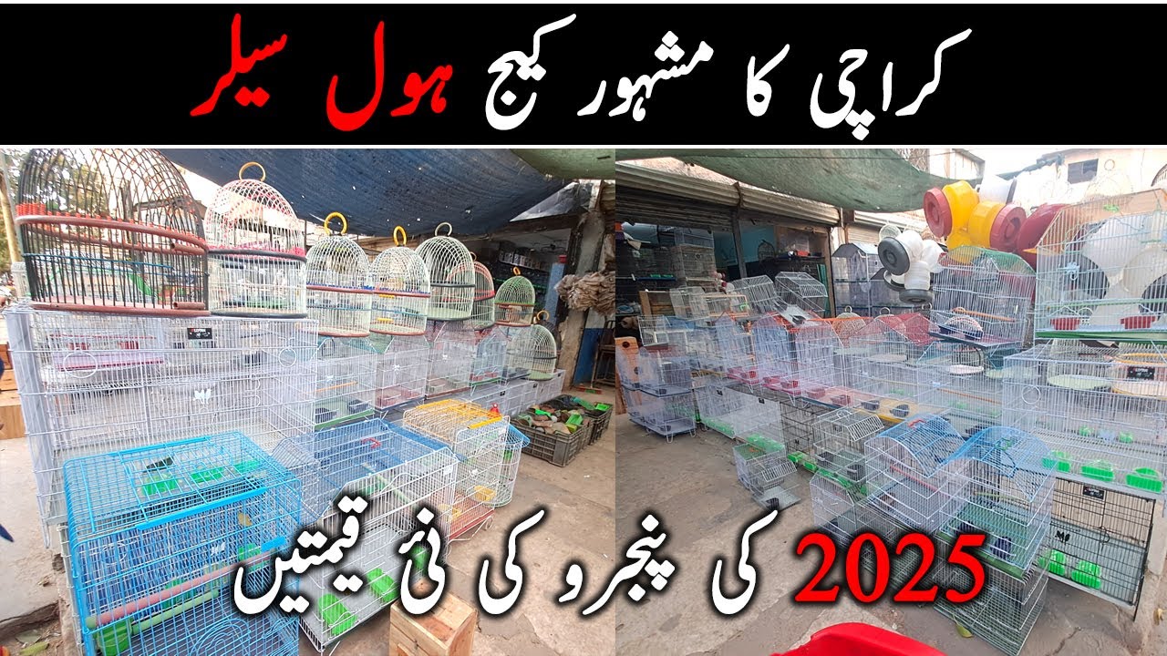 Cages Price in Karachi 2025 | Birds Cage Wholesaler in Karachi | Danish Ahmed Vlogs