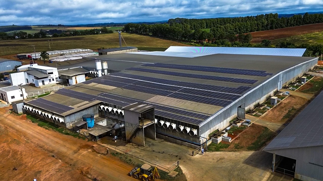 КАК НАВОЗ ПРЕВРАТИЛСЯ В ЧЕТЫРЕ БИЗНЕСА: ПОДСТИЛКА, УДОБРЕНИЯ, БИОГАЗ И БИОУДОБРЕНИЯ