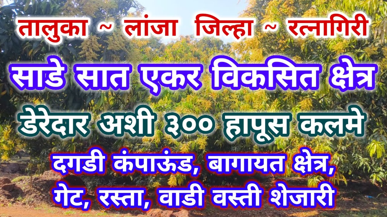 Develop Hapus 🥭 Farm Sale ७.५० एकर #ratnagiri 