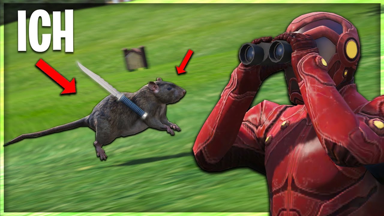 RATTE TROLLT IN GTA RP !🤣
