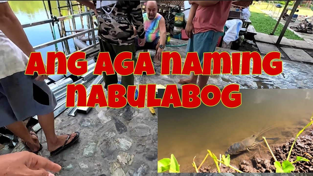 Naglabasan ang mga ulang sa fishpond | bumabawi na ang order na lechon