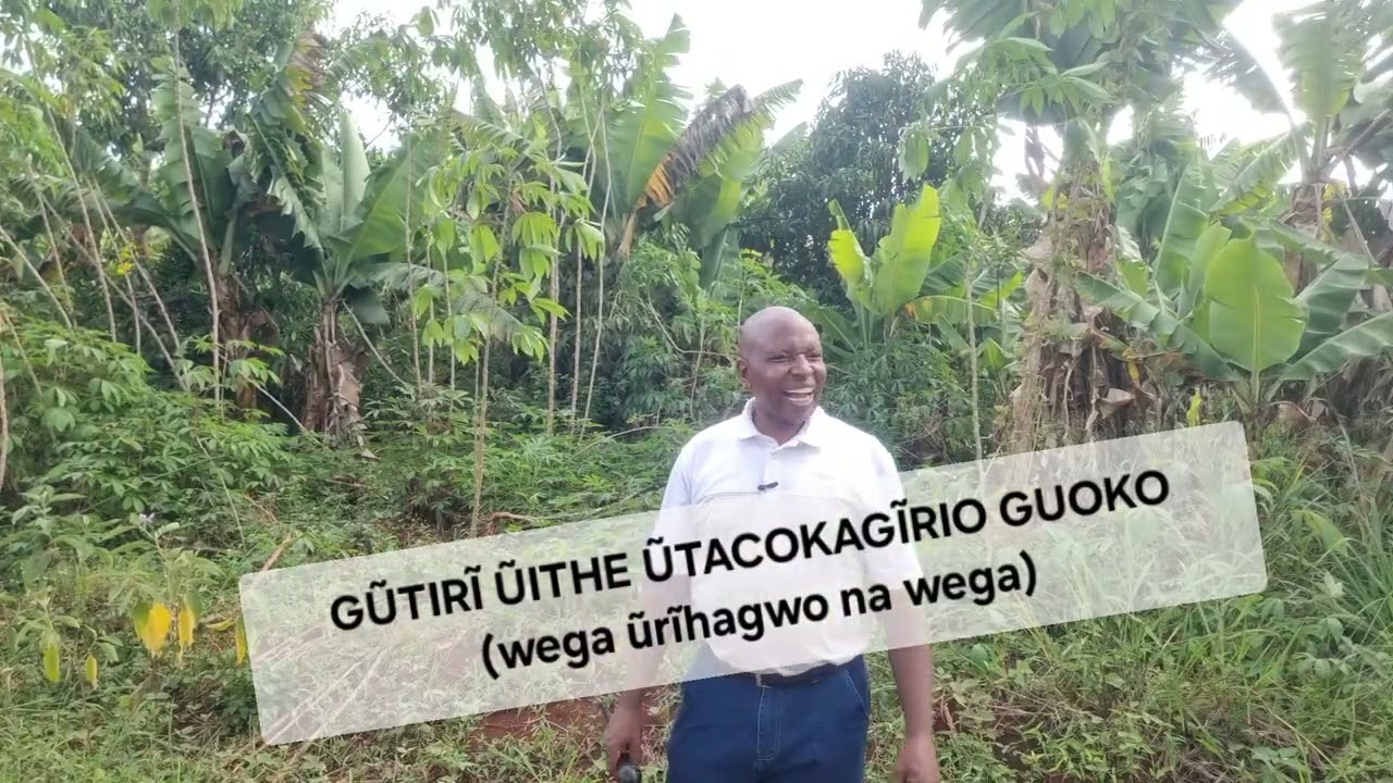 Gũtirĩ ũithe ũtacokagĩrio guoko (wega ũrĩhagwo na wega)