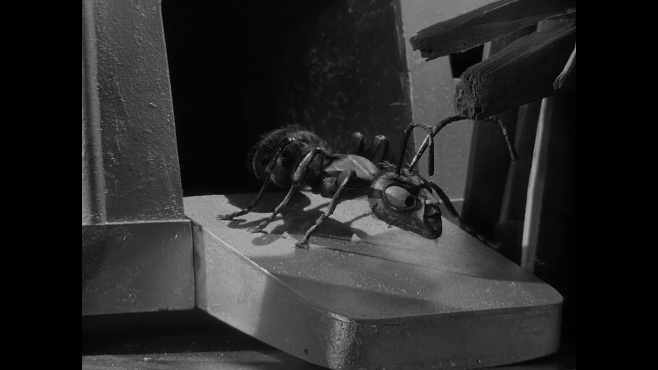 Outer Limits The Zanti Misfits