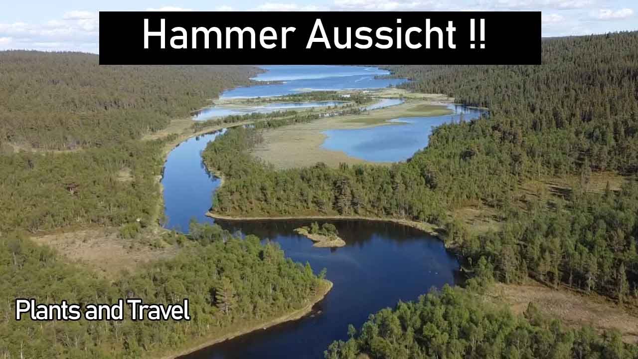 #8 Mit dem Wohnmobil auf Schwedens höchster Passstraße und ein Canyon den wir nicht erwartet hätten.