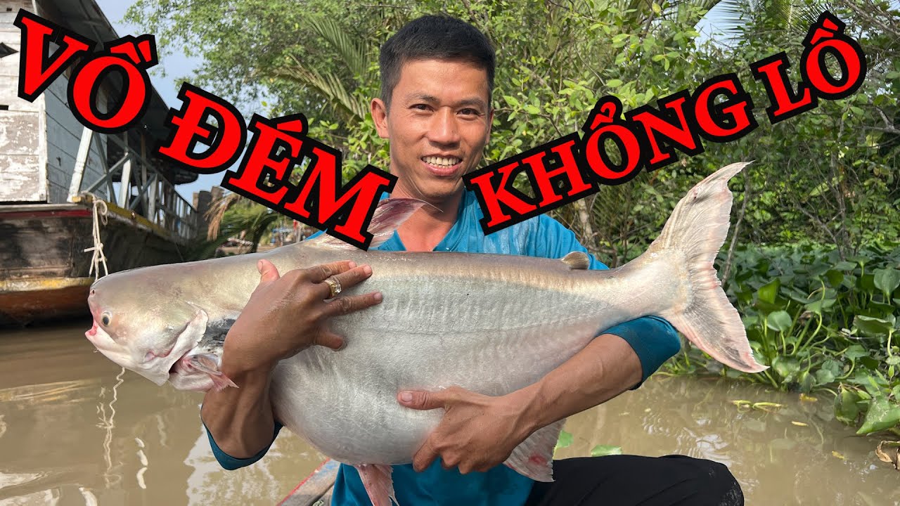vô tình câu được cá VỒ ĐÉM Khổng lồ trên SÔNG TIỀN , CÁ TRA DỒ