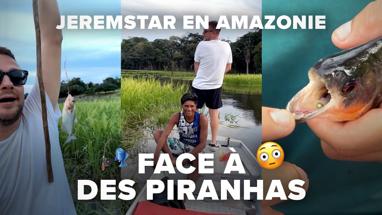 JEREMSTAR FACE À DES PIRANHAS