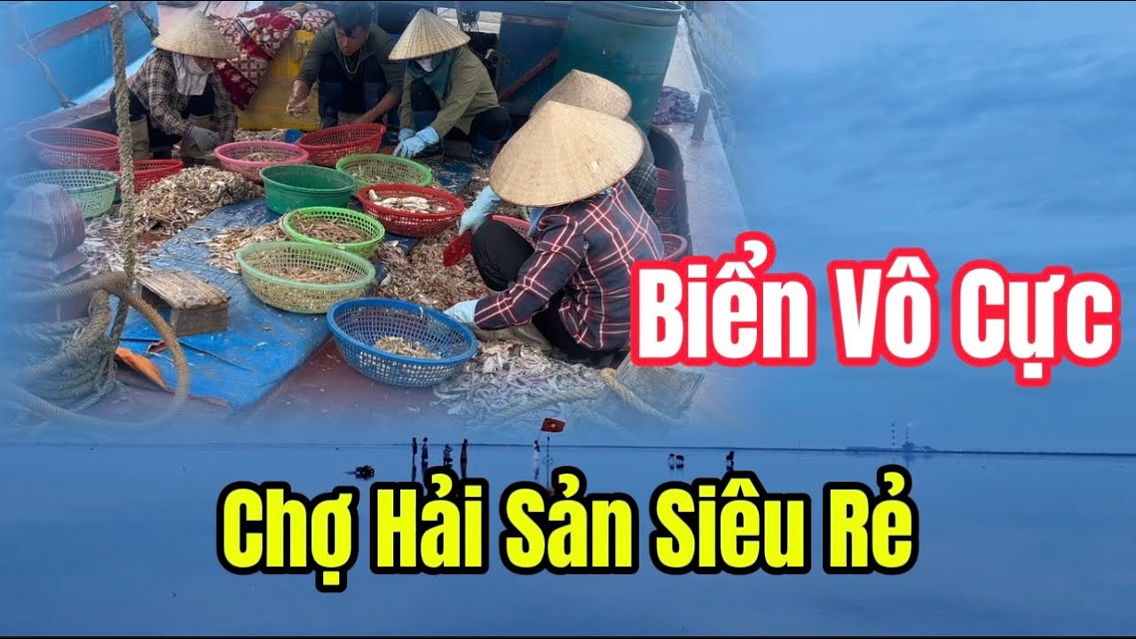 Biển Vô Cực, Chợ Hải Sản Giá Rẻ Bất Ngờ Và Cuộc Sống Của Ngư Dân Ven Biển