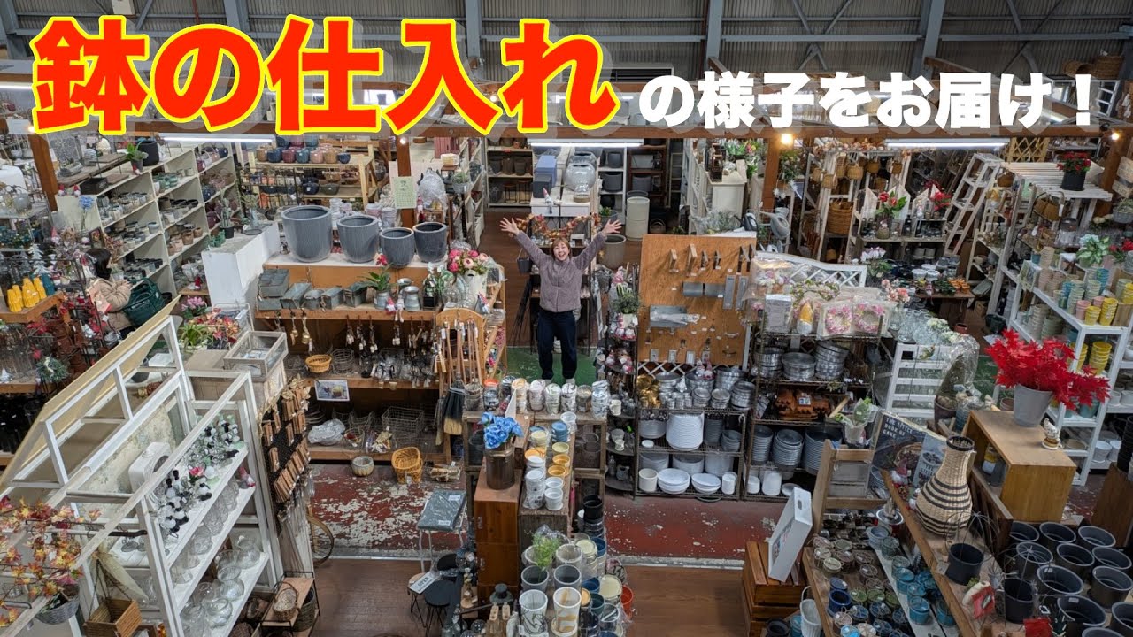【仕入れ】 鉢の仕入れの様子をお届けします！