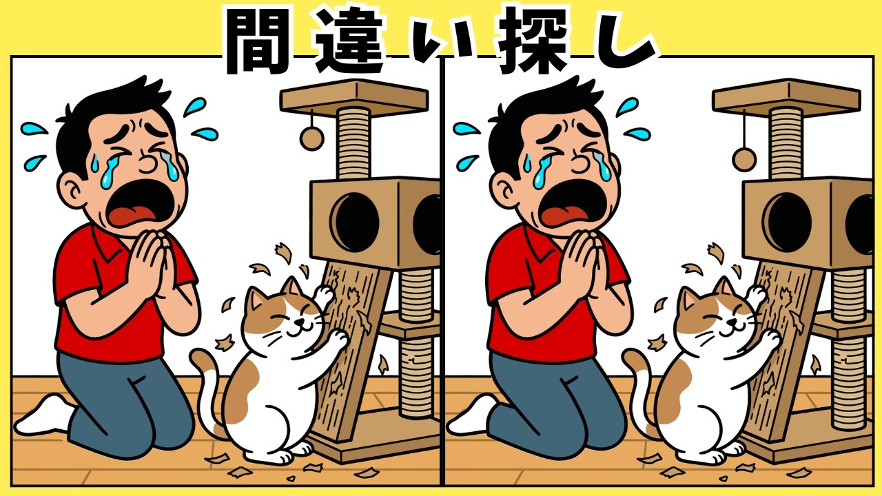 【間違い探し】高齢者 脳トレクイズ ペット特集｜猫と犬の楽しい全10問で頭の体操